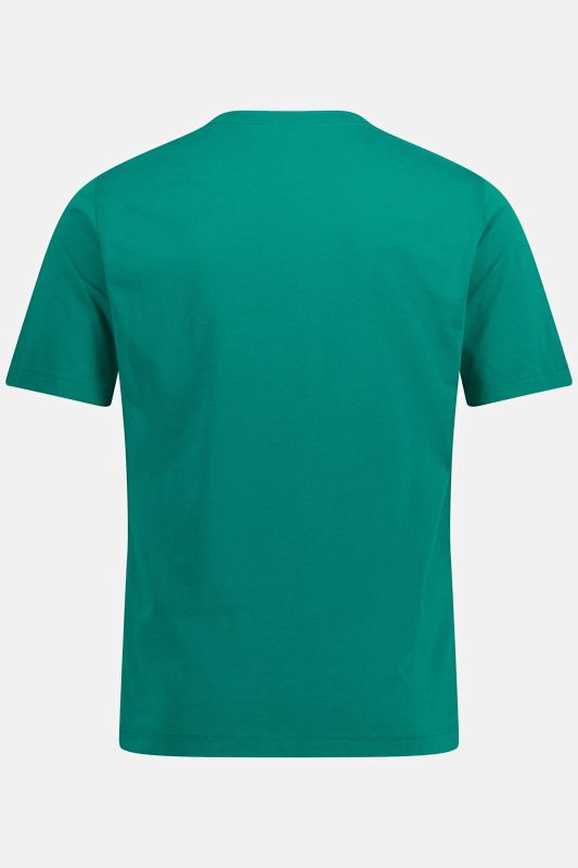 T-Shirt, Basic, Round neck, combed cotton, up to 8XL