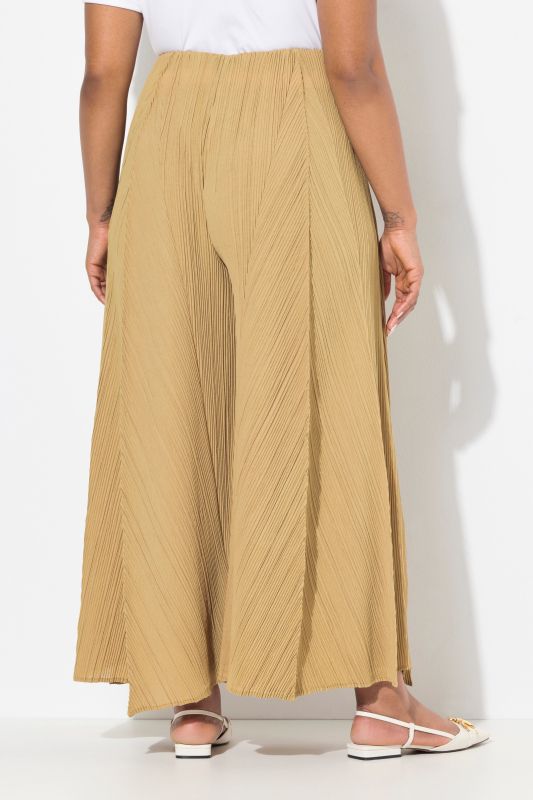 P0leated Wide Leg Elastic Waist Pants