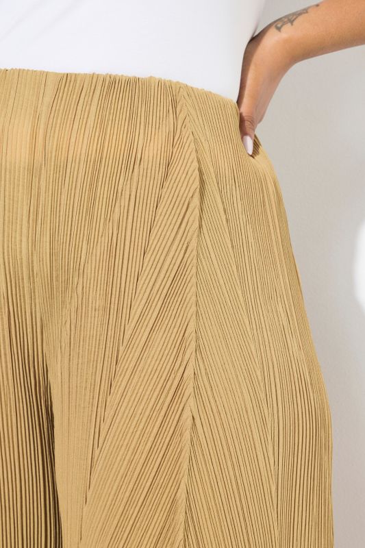 P0leated Wide Leg Elastic Waist Pants