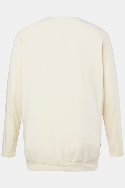 Long-sleeved top, basic, round neck, stomach fit, up to 8 XL