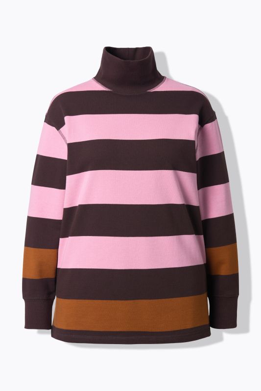 Eco Cotton Striped Turtleneck Sweatshirt