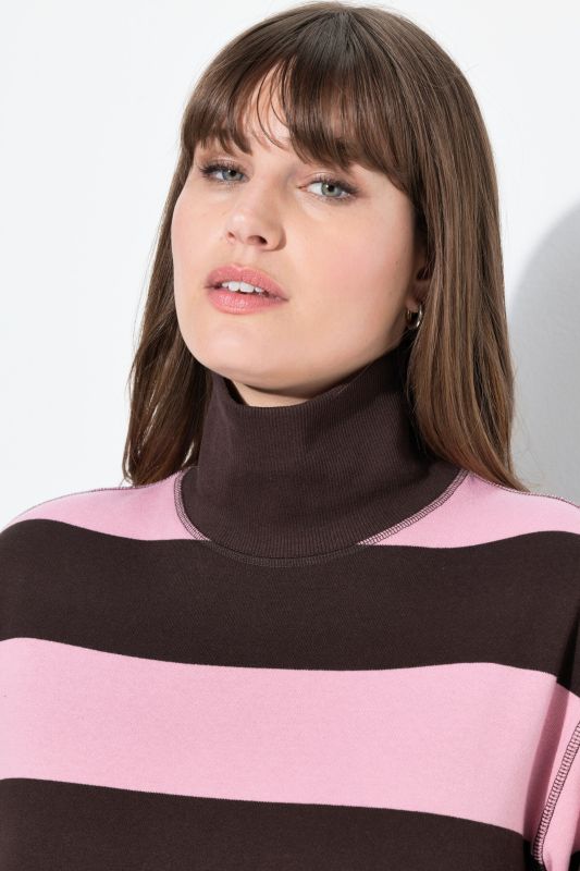 Eco Cotton Striped Turtleneck Sweatshirt