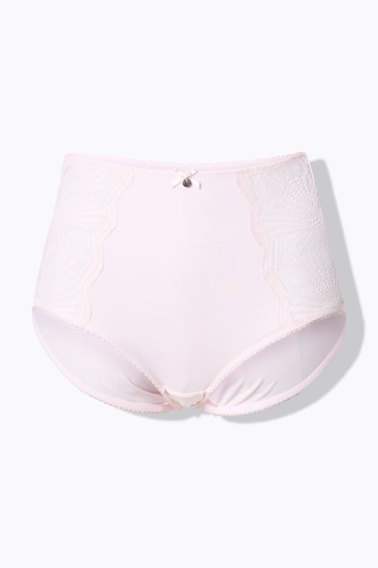 Sheer Paneled Maxi Briefs