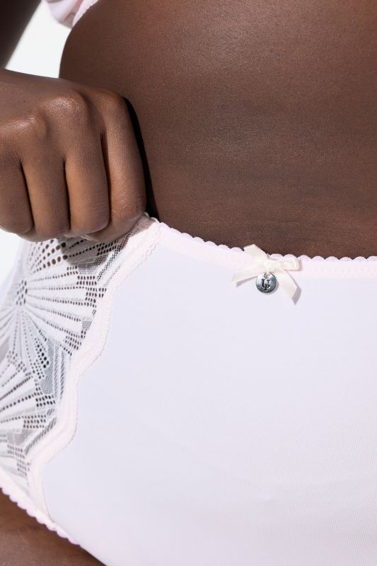 Sheer Paneled Maxi Briefs