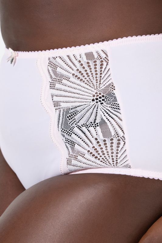 Sheer Paneled Maxi Briefs