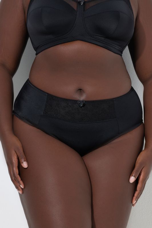 Butterfly Lace Panel Midi Brief