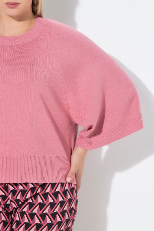 Wing Sleeve Knit Sweater