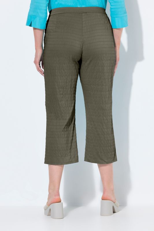 Textured Elastic Waist Cropped Pants