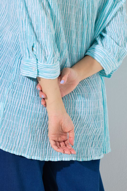 Блуза с яка и райета