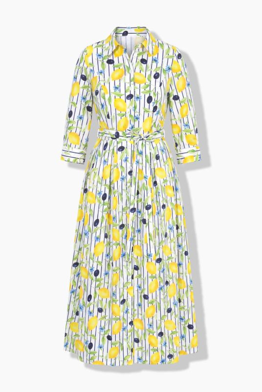 Pinstripe Lemon Button-Down Shirt Dress