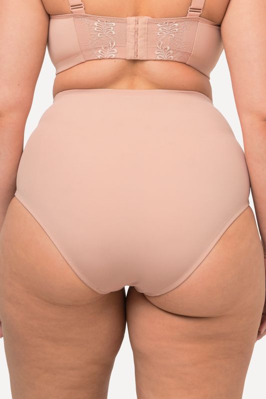 Lace Panel High Waisted shaping Panty
