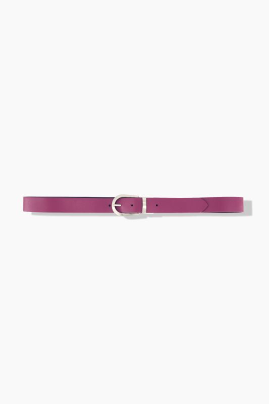 Reversible belt