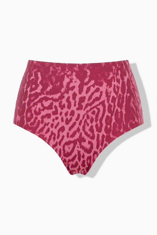 Leopard Print High-Waisted Bikini Briefs