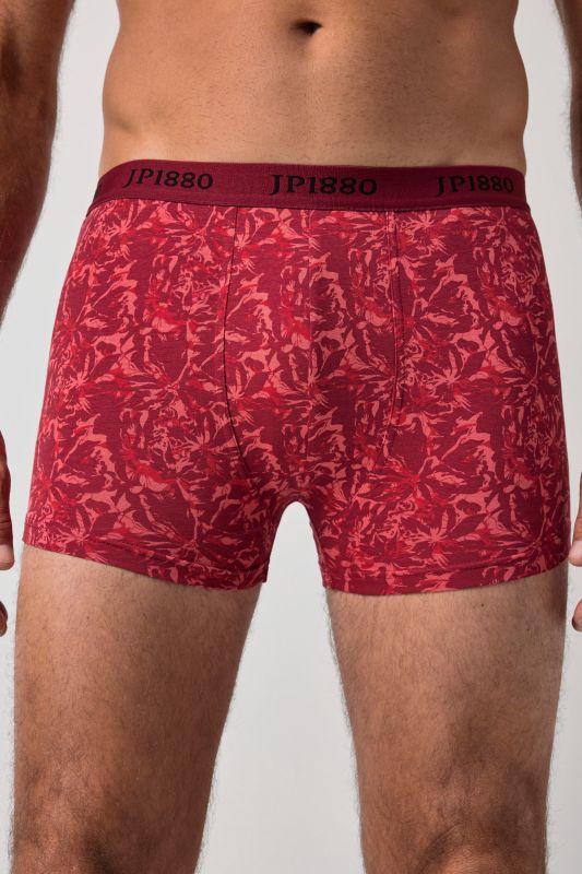 FLEXNAMIC® hipster boxer shorts, 2-pack