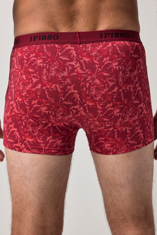 FLEXNAMIC® hipster boxer shorts, 2-pack