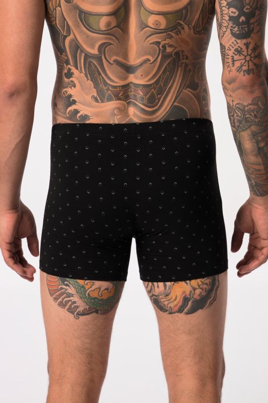 Mid pants FLEXNAMIC®, OEKO-TEX, 2-pack, underpants