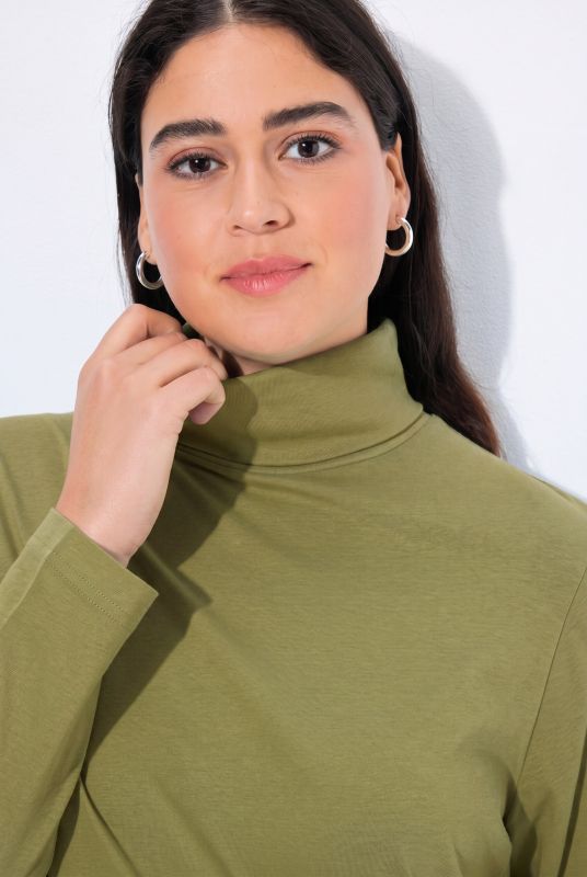 Basic Long Sleeve Slim Fit Turtleneck