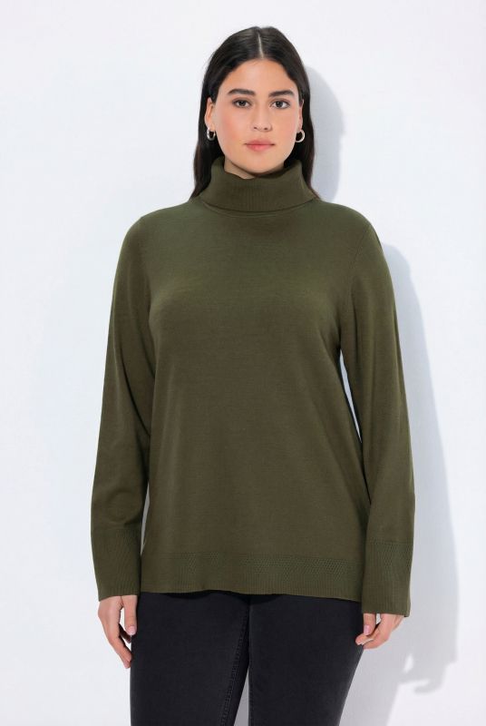 Turtleneck Ribbed Trim Long Sleeve Sweater