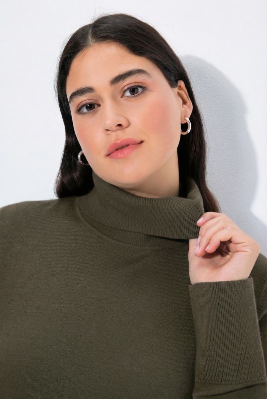 Turtleneck Ribbed Trim Long Sleeve Sweater