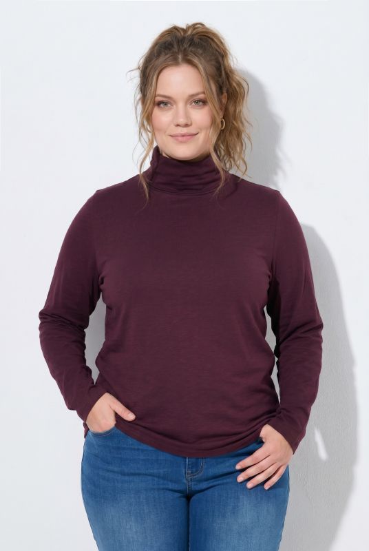 Cotton Knit Slim Fit Turtleneck