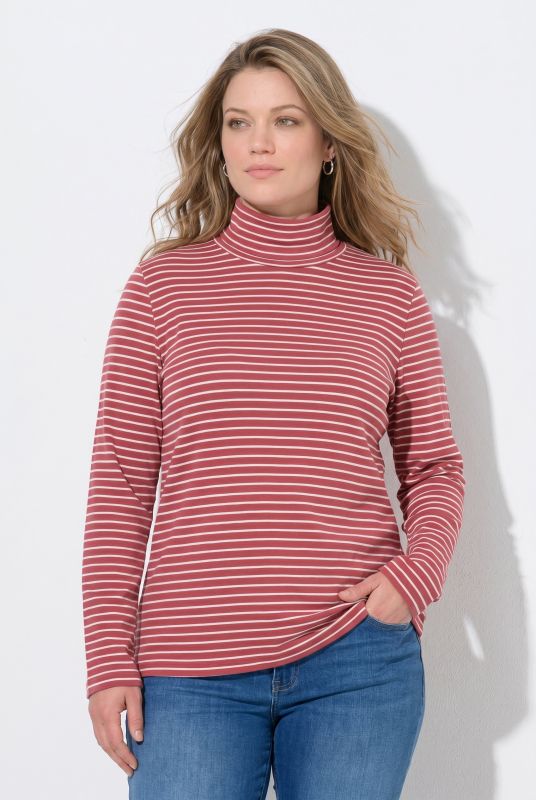 Eco Cotton Stripe Rib Knit Slim Fit Turtleneck