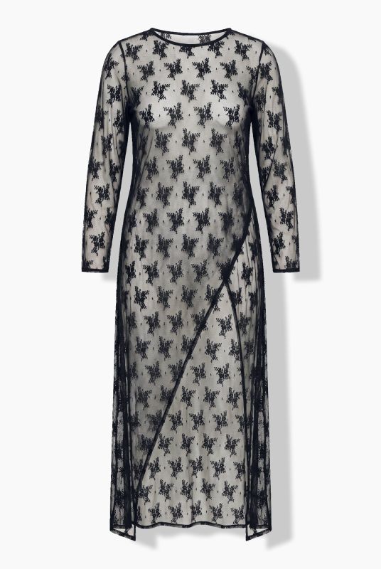 Sheer Lace Long Sleeve Asymmetric Maxi Dress