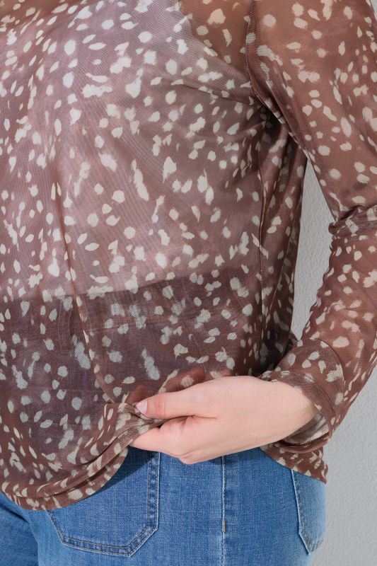 Sheer Mesh Long Sleeve Polka Dot Blouse