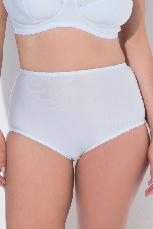 2 Pack of Stretch Microfiber Brief Panties - Pinstripe