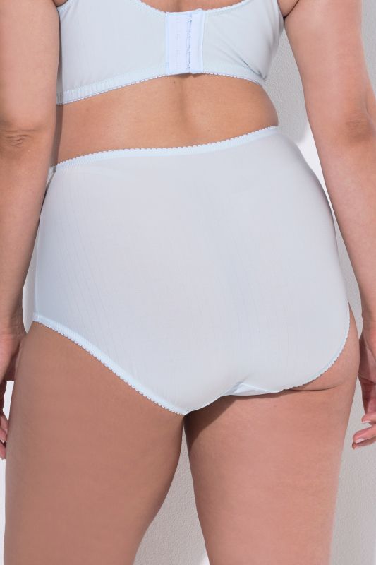 2 Pack of Stretch Microfiber Brief Panties - Pinstripe