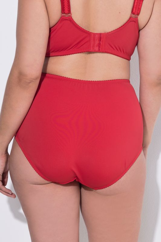 Sheer Paneled Maxi Briefs