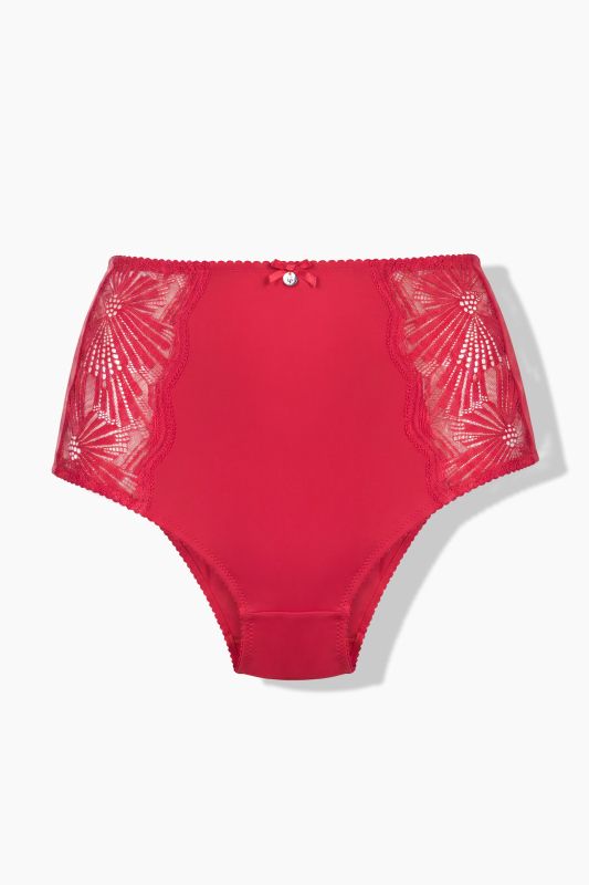Sheer Paneled Maxi Briefs
