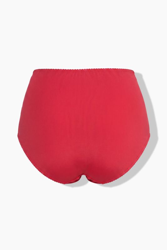Sheer Paneled Maxi Briefs
