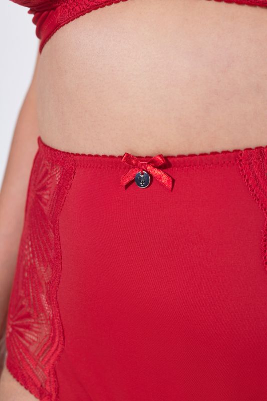 Sheer Paneled Maxi Briefs