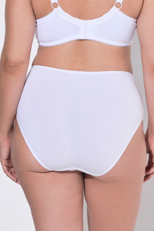 5 Pack of Midi Briefs: Holiday