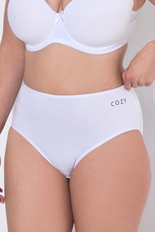 5 Pack of Midi Briefs: Holiday