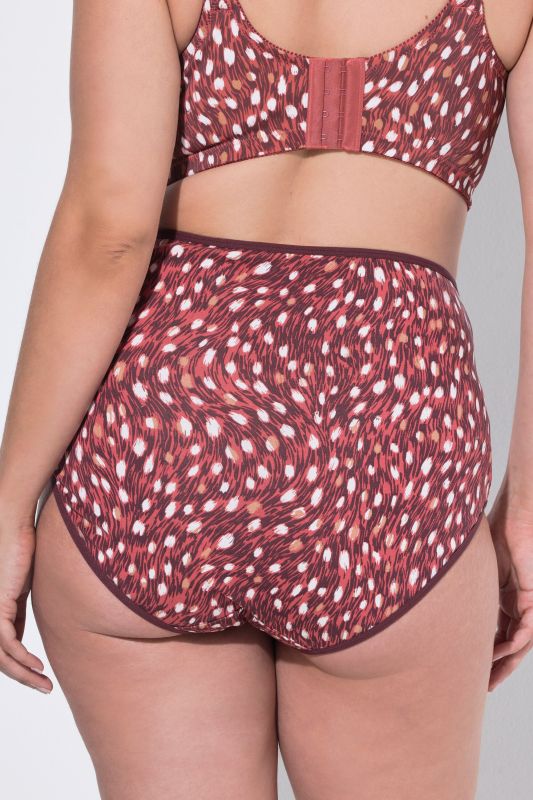 5 Pack of Maxi Briefs: Fawn