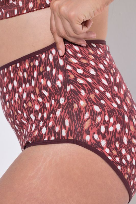 5 Pack of Maxi Briefs: Fawn
